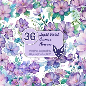 Flores cosmos violeta claro en acuarela / Conjunto de 36 archivos PNG / Fondo transparente / Descarga instantánea / Uso comercial