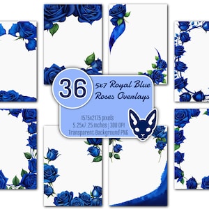 Set van 5 x 7" koningsblauwe roos | 36 png-bestanden | Transparante achtergrond | Direct downloaden | Uitnodigingen | Kaarten | Randen | Hoeken | Frames