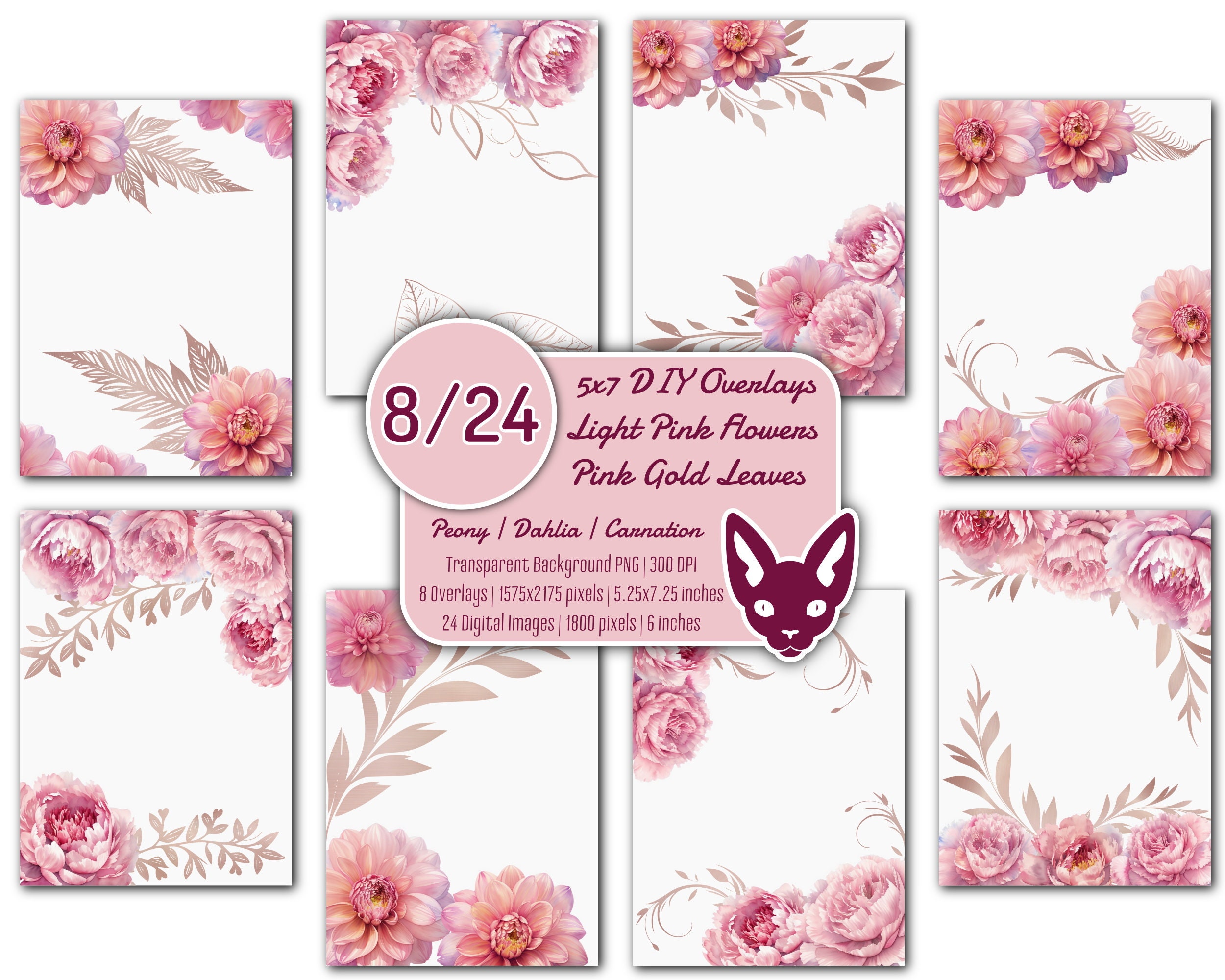 Pink Boise Wildflowers (15) |, image size:2500x2000