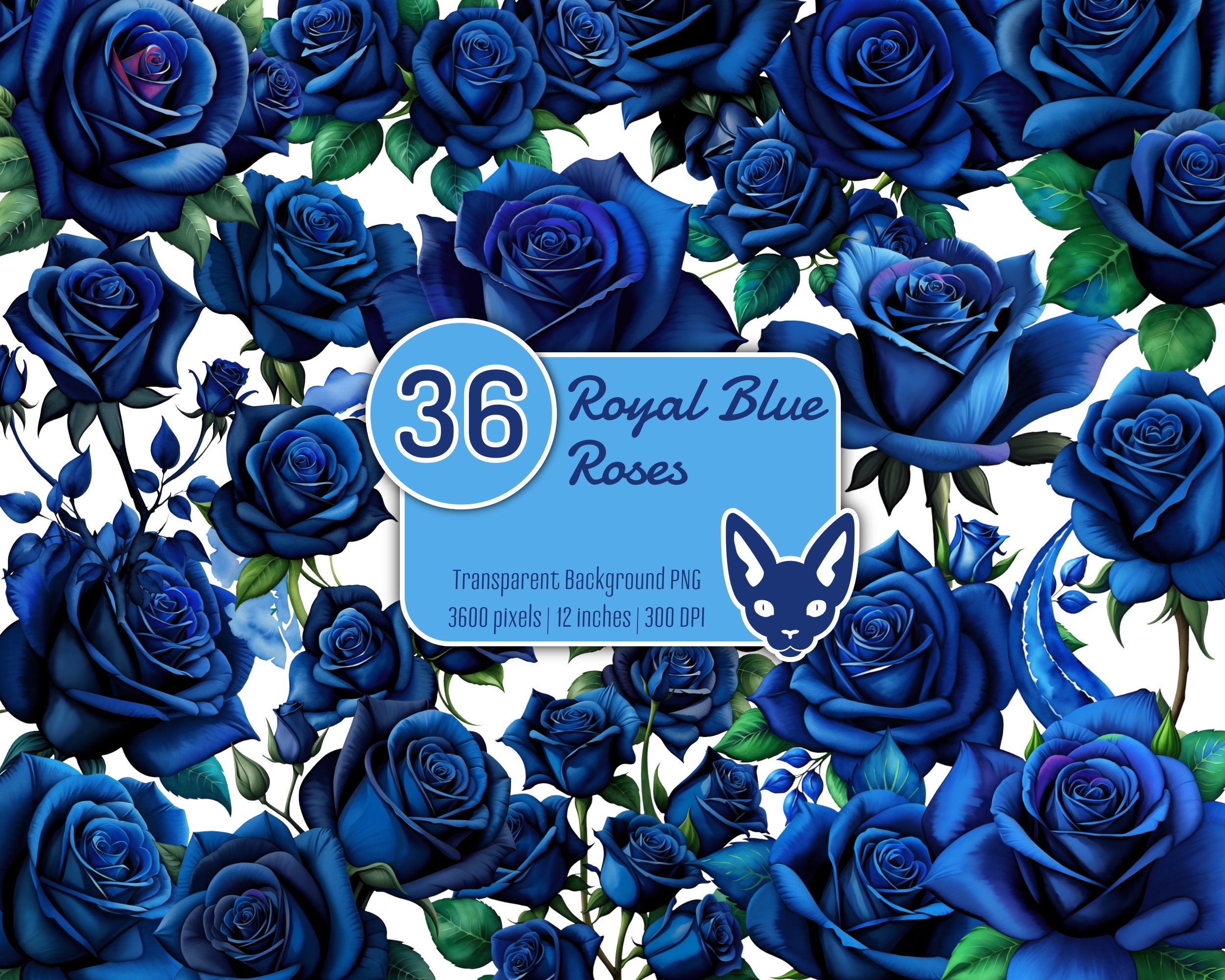 画材 BLUE ROSE Amazon.com: Canvas Wall Art Blue Rose Flowers on Book