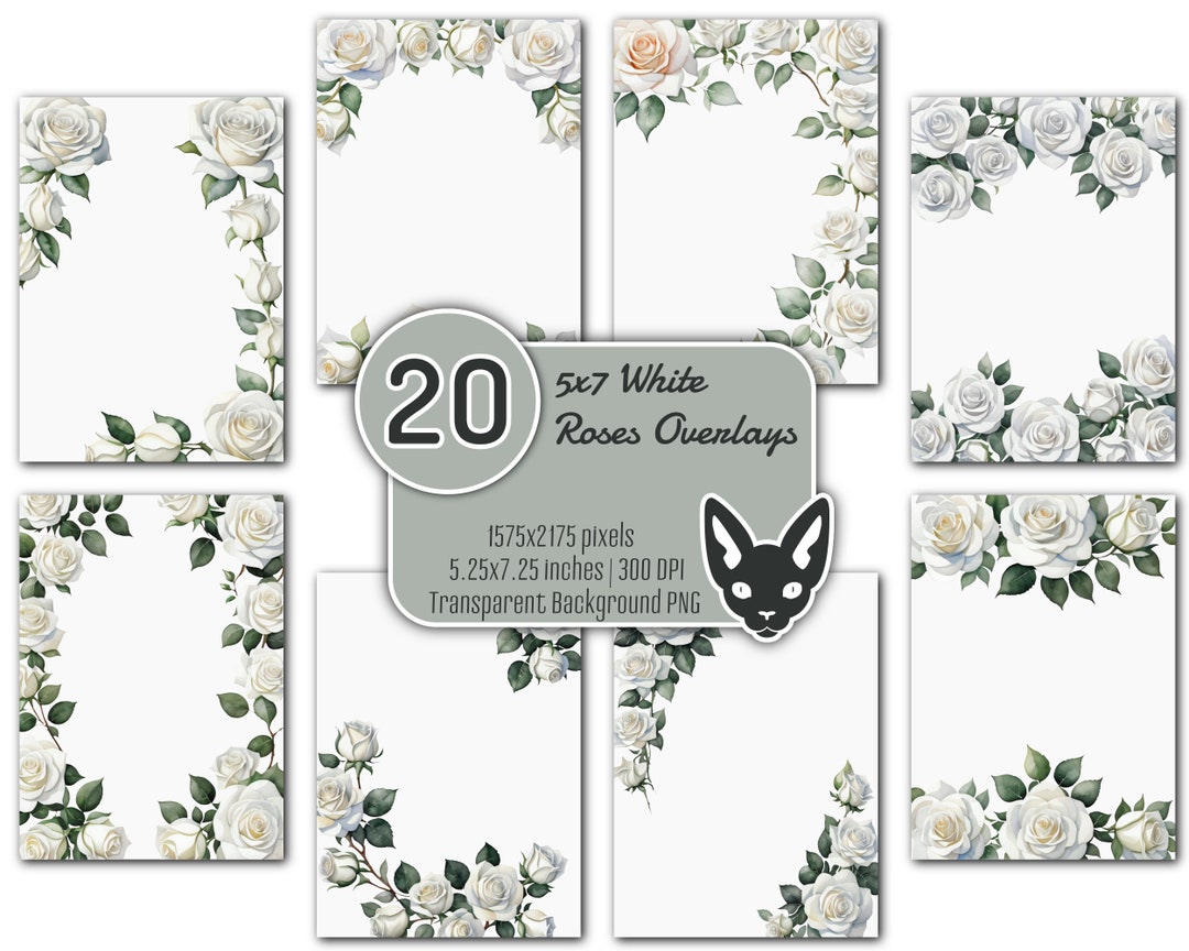 White Roses Overlay White Rose Watercolor Overlays: 5x7 Invitation Borders, Corners (PNG ...