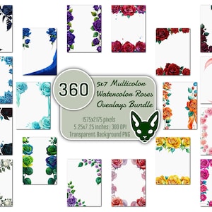 Lot de superpositions de roses aquarelles multicolores de 5 x 7 po. | 360 images PNG | Fond transparent | Invitations | Cartes | Bordures | Cadres