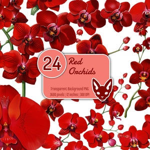 Red Orchid Watercolor Clipart: Floral PNG Set (Digital Download)