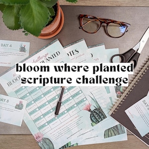 Puede incluir: Vista aérea de un escritorio con una planta en maceta, gafas, tijeras y un cuaderno de espiral. Varias hojas impresas con una ilustración de cactus y el texto "bloom where planted scripture challenge" son visibles, junto con un bolígrafo.