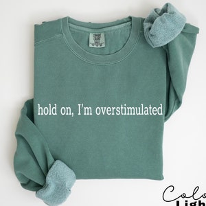 Funny Mental Health Sweatshirt ,Hold On I&#39;m Overstimulated Sweatshirt, Funny Sweatshirt, Gift For Her, Mom Sweatshirt, Women&#39;s Sweatshirts