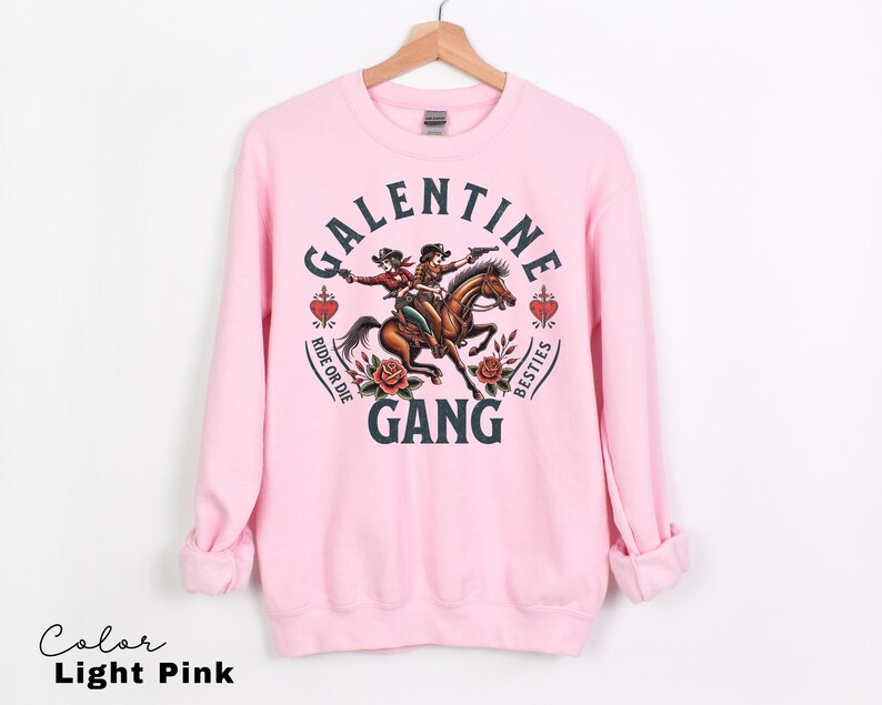 May include: Light pink sweatshirt with a graphic that reads "Galentine Gang" with two women riding a horse and holding guns. The graphic also includes roses, hearts, and the phrases "Ride or Die" and "Besties."