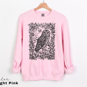 May include: Light pink sweatshirt featuring a detailed black and white illustration of an owl within a floral frame, with a butterfly accent. The text "Color Light Pink" is at the bottom. The long-sleeved top is displayed on a wooden hanger.