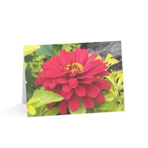 Floral Personal Blank Cards Pack 10pc 10 Envelopes Give Thanks Teachers Nurses Doctors Wedding Showers Just Because Husband Wife Best Friend