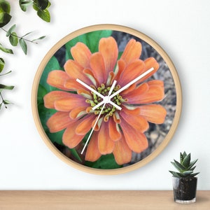 Bursting Orange Zinnia Flower Circle Wall Clock Wooden frame Botanical Time Clock Gift Teacher Nurse Orange Photograph Office Space Decor