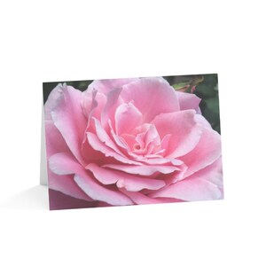 Floral Personal Blank Cards Pack 10pc 10 Envelopes Give Thanks Teachers Nurses Doctors Wedding Showers Just Because Husband Wife Best Friend