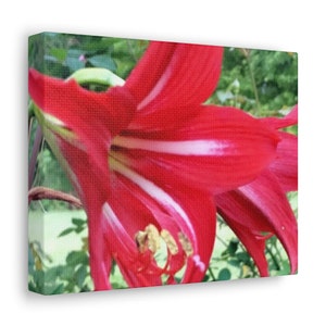 Red Floral Print 10x8 Canvas Gallery Wrap Photograph Wall Hanging Gift for her mom grandmother wife Garden flower love Home or Office decor