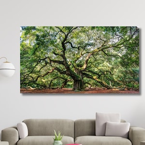 Angel Oak Tree CANVAS Wall Art Vivid Wall Decor,Extra Large Canvas Wall Decors,Home & Office Decoration,Modern Wall Arts,Christmas Gift Art