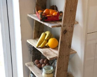 Rustic Ladder Shelf