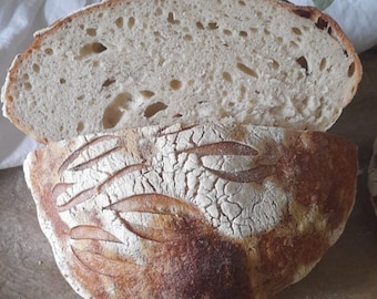 Sourdough starter from Finland, dehydrated, different varieties