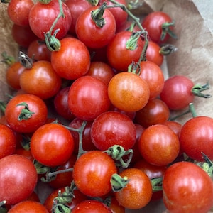 May include: A close-up of a cluster of ripe, red cherry tomatoes on the vine. The tomatoes are round and glossy, with green stems and leaves. They are in a brown paper bag, ready to be eaten.