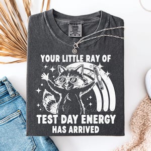 May include: Dark gray t-shirt with a raccoon graphic wearing sunglasses and holding a pencil, with the text "YOUR LITTLE RAY OF TEST DAY ENERGY HAS ARRIVED." A silver necklace and blue jeans are also visible.