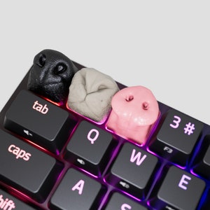 May include: A black, gray, and pink keyboard keycap set with pig nose designs. The keycaps are placed on a black keyboard with rainbow LED lighting. The keycaps are made of a soft, pliable material.