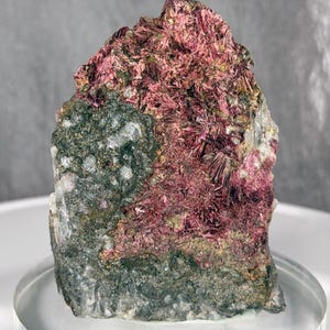 May include: A natural mineral specimen featuring a combination of colors and textures. The base is a dark green and gray stone, with a cluster of vibrant, reddish-pink crystal formations on top. The mineral sits on a clear, round display stand.