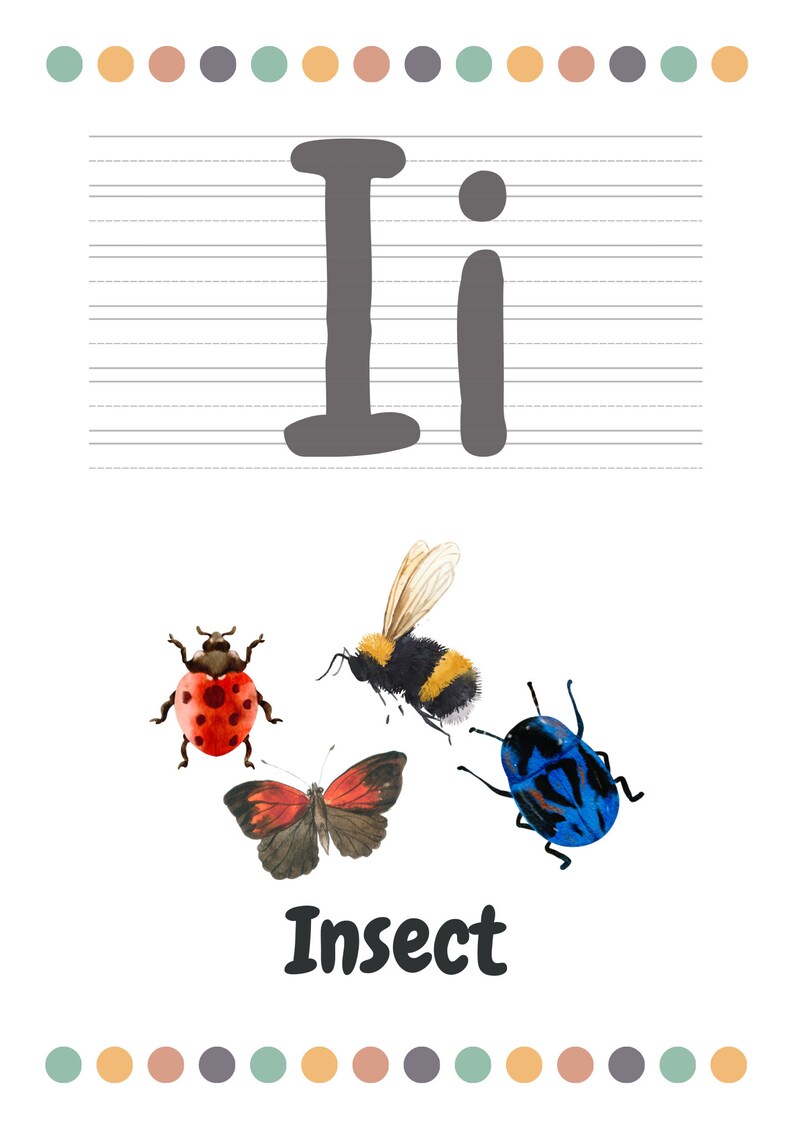 Montessori Alphabet, Printable ABC Flashcards, Toddler Education