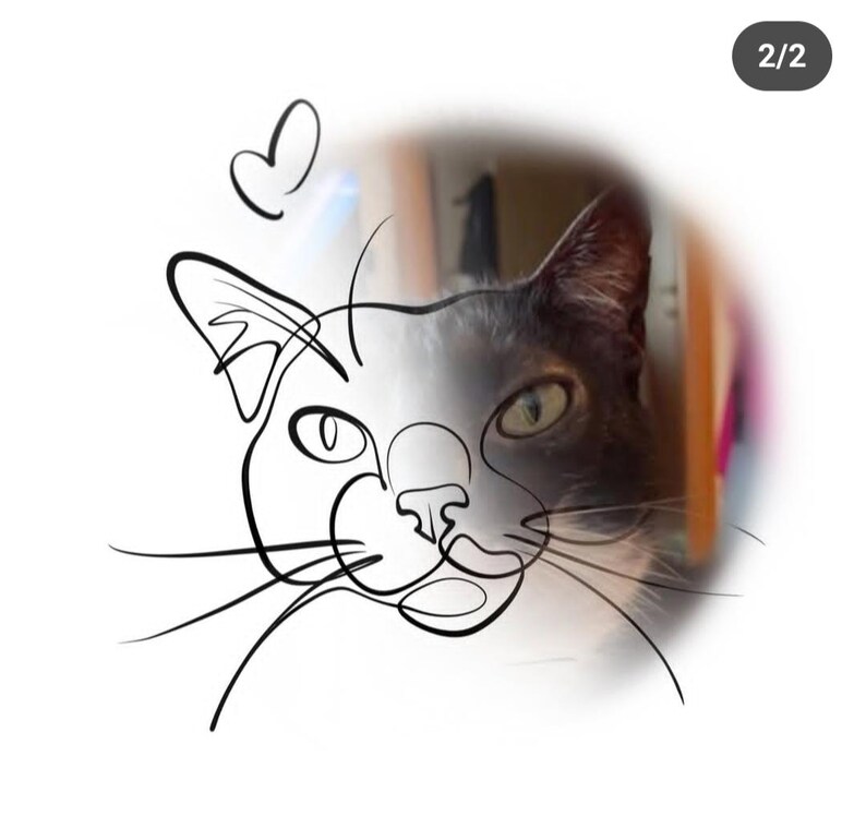 May include: A unique artwork featuring a cat's face. The image combines a detailed photograph of a gray and white cat with a minimalist black line drawing overlay. A small heart shape is drawn above the cat's head.