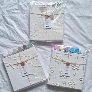 Puede incluir: Tres kits de pintura sobre lienzo blanco con texturas en relieve. Los kits incluyen pintura y pinceles. El primer kit tiene una textura ondulada, el segundo tiene un patrón floral y el tercero tiene un patrón geométrico.