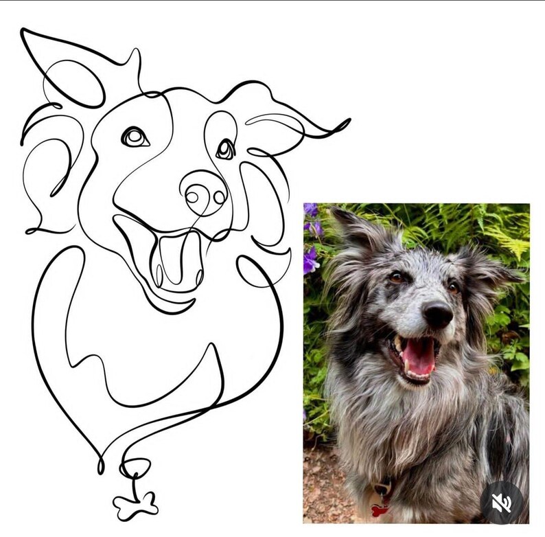 May include: A split image featuring a black line drawing of a dog's head and a color photograph of a dog. The line drawing is a continuous line, depicting the dog's features. The photograph shows a dog with gray and white fur, a red collar, and an open mouth.