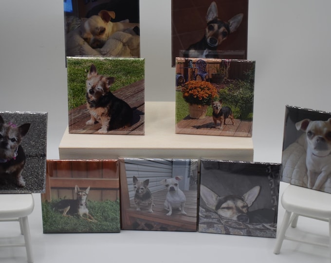 Custom made 2x2  photo Magnets