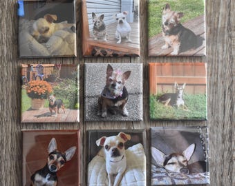 Custom made 2x2  photo Magnets