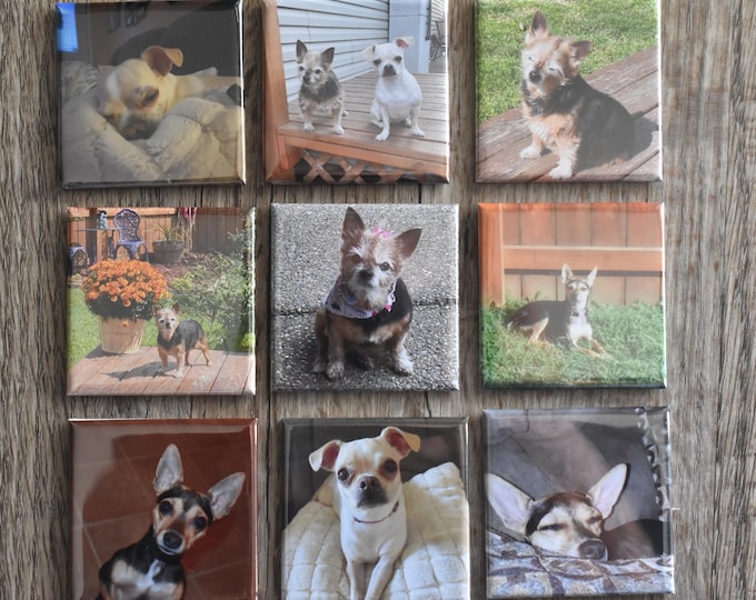 Custom made 2x2  photo Magnets