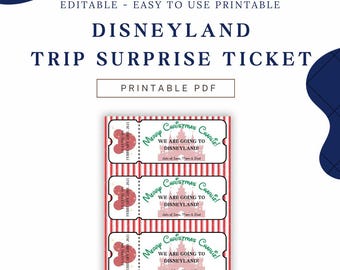 Entradas sorpresa para viajes a Disneyland: personalizables
