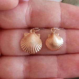 Könnte beinhalten: Ein Paar goldfarbene Muschelohrringe. Jeder Ohrring hat ein detailliertes, fächerförmiges Design mit einem kleinen Haken für das Ohr. Die Ohrringe werden vor einem verschwommenen Hintergrund präsentiert.