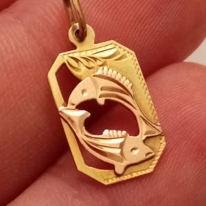 以下が含まれることがあります： 魚座の星座を表す、2匹の魚が絡み合った詳細なデザインが施されたゴールドトーンのペンダントチャームです。