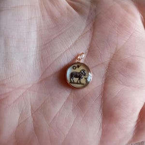 以下が含まれることがあります： 透明なガラスのドームの中に黒い雄羊が入った、金色のペンダント。雄羊は右を向いており、その上に小さな星があります。