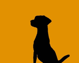 Chien