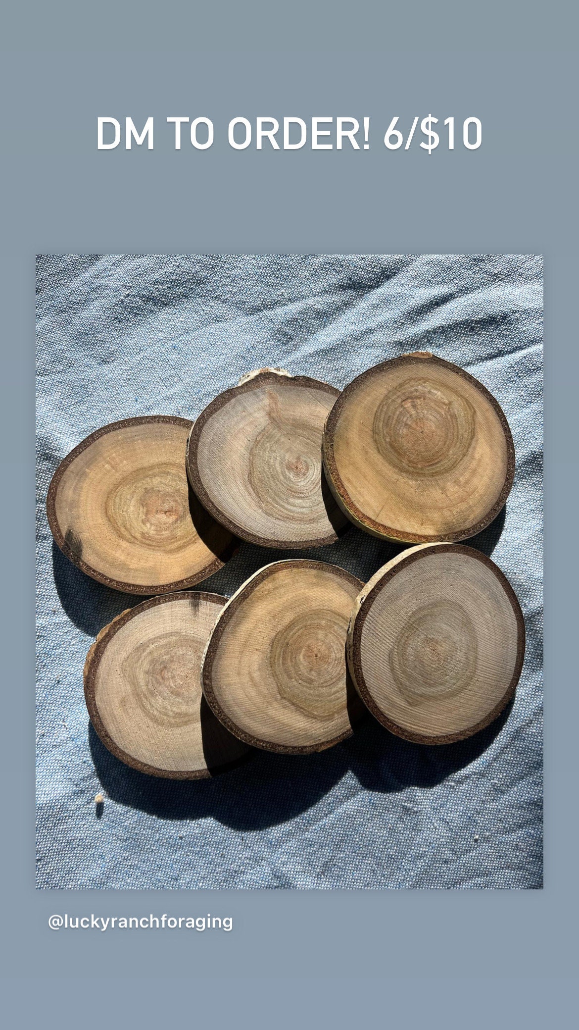 Aspen Wood Slices Coasters, Ornaments, Engraving Woodburning Crafts With  Bark 2 1/2 3 X 1/2 