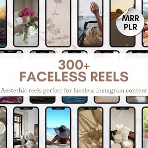 300 Faceless Video Reels With Master Resell Rights Digital Marketing PLR Reels Videos Instagram Aesthetic Feed Canva Social Media Videos MRR