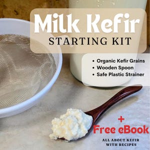 Organic Live Milk Kefir Grains with Starter Kid: wooden Spoon and plastic strainer BONUS free Kefir E-book, live probiotics, Gut Health