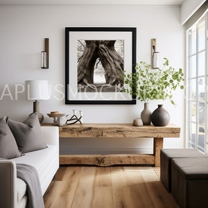 May include: A white couch with a gray throw blanket and pillows sits in a living room with a wooden coffee table and a framed black and white photo of a tree with a natural archway. There are two small vases and a plant on the table.