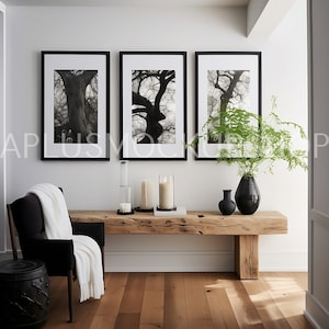 May include: Three black framed photographs of trees in a black and white color scheme hang on a white wall above a wooden bench with black candles and a vase of green plants. A black armchair with a white throw blanket sits to the left of the bench.