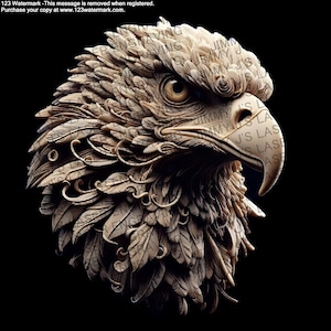 3D Illusion Eagle