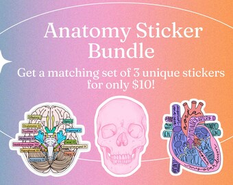 Anatomy Sticker Bundle – Set of 3 Anatomy-Themed Stickers | Perfect for Medical Students, Healthcare Professionals, and Anatomy Lovers