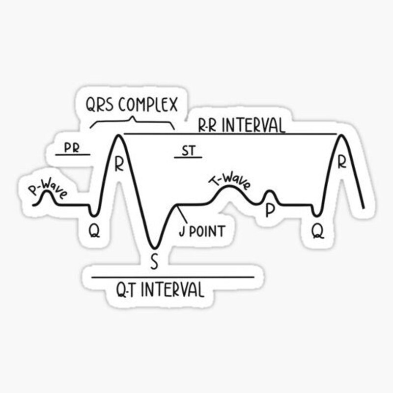 Ekg Stickers - Etsy