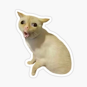 CKXTYNG Meme Sticker Pack – Assorted Funny Decal Stickers For Laptops, Phones, Water Bottles