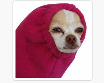 Adesivo divertente con meme di Chihuahua: cane con felpa con cappuccio