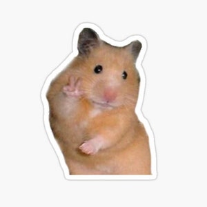 Hamster Sticker - Meme Sticker, Funny Sticker, Animal Sticker, Gift for Animal Lovers