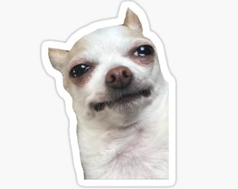 Adesivo divertente con chihuahua che piange: adesivo per laptop con cane meme
