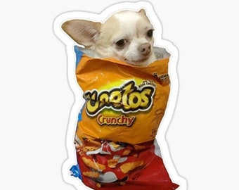 Cheeto Chihuahua Meme Sticker