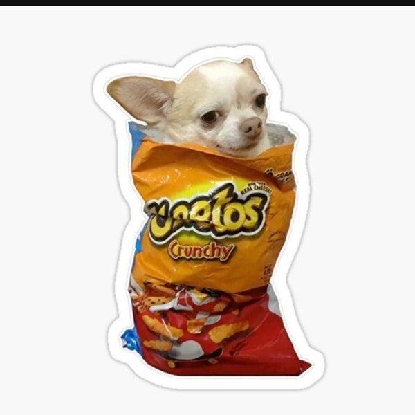 Cheeto Chihuahua Meme Sticker