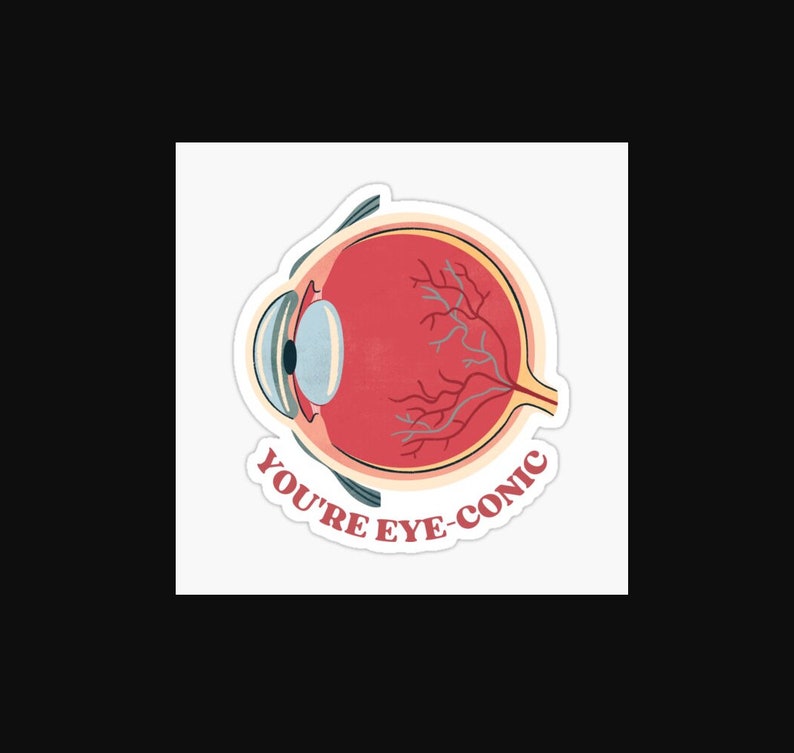 Eye Anatomy 