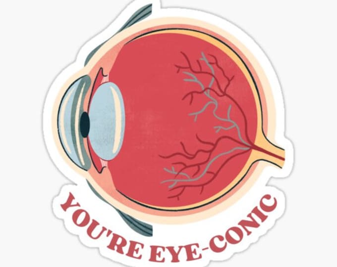 Eye Anatomy 